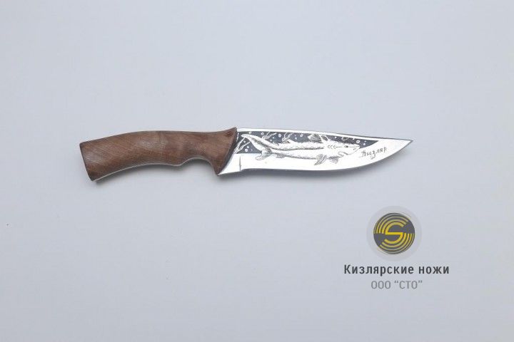 «Морской волк» (орех)