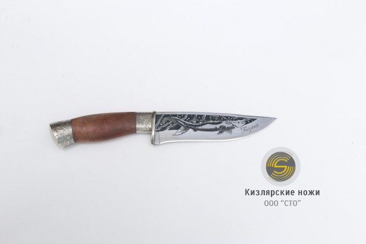 «Морской волк» (гардовый)