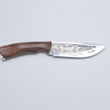 «Терек» (орех)